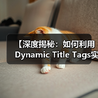 动态标题标签如何提升SEO？个性化标题技巧揭秘-辰飞雨云笔网策(图2)