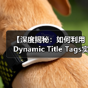 动态标题标签如何提升SEO？个性化标题技巧揭秘-辰飞雨云笔网策(图3)