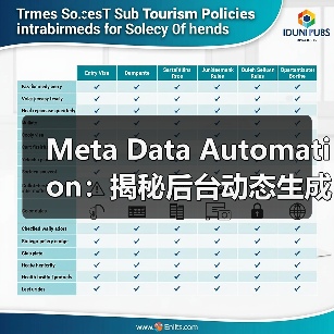 Meta Data自动化如何提升SEO效率？-辰飞雨云笔网策(图3)