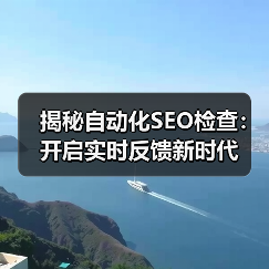 揭秘自动化SEO检查：开启实时反馈新时代(图3)