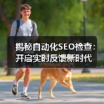 揭秘自动化SEO检查：开启实时反馈新时代(图4)