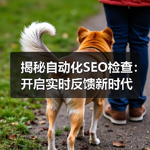 揭秘自动化SEO检查：开启实时反馈新时代(图2)