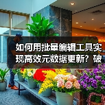 如何用批量编辑工具实现高效元数据更新？破解效率工具的秘密(图3)