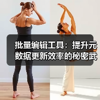 批量编辑工具:提升元数据更新效率的秘密武器(图4) 元数据更新效率暴增87%?揭秘批量工具的SEO革命-辰飞雨云笔网策(图4)
