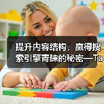 提升内容结构,赢得搜索引擎青睐的秘密—Taxonomy Optimization 分类法优化指南(图4) 分类法优化让内容结构更被搜索引擎“懂”?-辰飞雨云笔网策(图4)