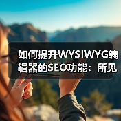 如何提升WYSIWYG编辑器的SEO功能：所见即所得编辑器优 - 辰飞雨云笔网策