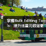 掌握Bulk Editing Tools：提升批量元数据更新 - 辰飞雨云笔网策