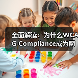 全面解读：为什么WCAG Compliance成为网页内容必不可少的标准(图2)