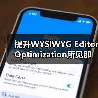 提升WYSIWYG Editor Optimization所 - 辰飞雨云笔网策