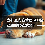 为什么内容管理SEO是获胜的秘密武器？ —— 深度解析如何打 - 辰飞雨云笔网策