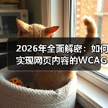 2026年全面解密：如何实现网页内容的W