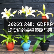 2026年必知：GDPR合规实施的关键策略与用户权益保护(图2)