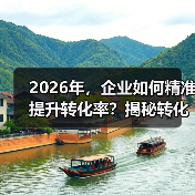 2026年，企业如何精准提升转化率？揭秘转化跟踪设置的秘密(图3)