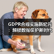 GDPR合规实施新纪元：解锁数据保护新时
