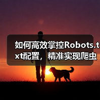 如何高效掌控Robots.txt配置，精准实现爬虫控制(图3)