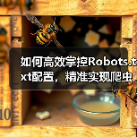 如何高效掌控Robots.txt配置，精准实现爬虫控制(图2)