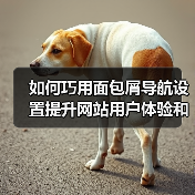 如何巧用面包屑导航设置提升网站用户体验和