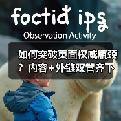 如何突破页面权威瓶颈?内容+外链双管齐下提升排名(图3) 如何突破页面权威瓶颈?内容+外链双管齐下提升排名(图3)