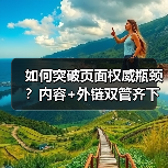 如何突破页面权威瓶颈?内容+外链双管齐下提升排名(图4) 如何突破页面权威瓶颈?内容+外链双管齐下提升排名(图4)