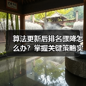 算法更新后排名骤降怎么办?掌握关键策略实现回升(图3) 算法更新后排名骤降怎么办?掌握关键策略实现回升(图3)
