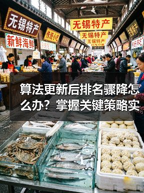 算法更新后排名骤降怎么办?掌握关键策略实现回升(图2) 算法更新后排名骤降怎么办?掌握关键策略实现回升(图2)