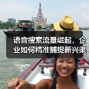语音搜索流量崛起，企业如何精准捕捉新兴渠道红利？(图3)