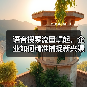 语音搜索流量崛起，企业如何精准捕捉新兴渠道红利？(图2)