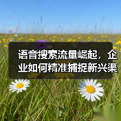 语音搜索流量崛起，企业如何精准捕捉新兴渠道红利？ - 辰飞雨云笔网策