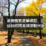 语音搜索流量崛起，企业如何精准捕捉新兴渠道红利？(图4)
