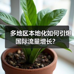 多地区本地化如何引爆国际流量增长？(图2)