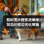 揭秘图片搜索流量增长背后的视觉优化策略(图3) 揭秘图片搜索流量增长背后的视觉优化策略(图3)