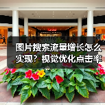 图片搜索流量增长怎么实现?视觉优化点击率提升秘诀(图3) 图片搜索流量增长的秘密武器:视觉优化策略解析-辰飞雨云笔网策(图3)