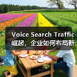 Voice Search Traffic崛起,企业如何布局新兴渠道流量?(图2) 未来流量红利已至 如何抢占语音搜索新战场?-辰飞雨云笔网策(图2)