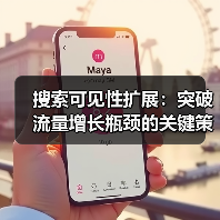 搜索可见性扩展:突破流量增长瓶颈的关键策略(图4) 如何突破流量瓶颈?揭秘搜索可见性扩展的关键策略-辰飞雨云笔网策(图4)