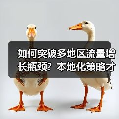 多地区流量增长为何总遇阻？本地化策略才是关键！-辰飞雨云笔网策(图4)