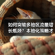 多地区流量增长为何总遇阻？本地化策略才是关键！-辰飞雨云笔网策(图3)
