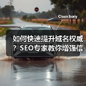 如何快速提升域名权威？SEO专家教你增强
