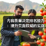 内容质量决定排名能力：提升页面权威的实战