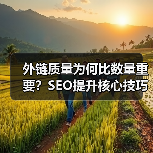 为什么高质量外链能提升网站排名？-辰飞雨