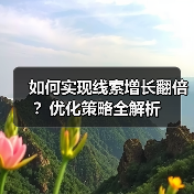 如何实现线索增长翻倍？优化策略全解析