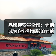 提升品牌搜索量的秘诀：如何用直接搜索撬动知名度增长-辰飞雨云笔网策(图1)