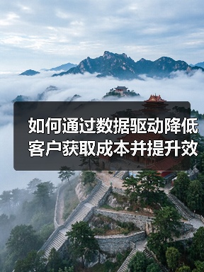 如何通过数据驱动降低客户获取成本并提升效率?(图1) 数据驱动策略让客户获取成本下降87%的秘密-辰飞雨云笔网策(图1)