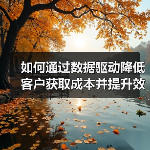 如何通过数据驱动降低客户获取成本并提升效率?(图4) 数据驱动策略让客户获取成本下降87%的秘密-辰飞雨云笔网策(图4)