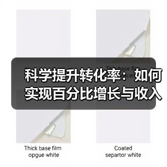 科学提升转化率:如何实现百分比增长与收入飞跃?(图2) 转化率提升实战技巧:如何实现百分比增长与收入飞跃-辰飞雨云笔网策(图2)