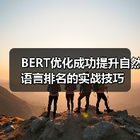 BERT优化成功提升自然语言排名的实战技巧(图3) BERT优化如何驱动自然语言排名跃升?深度解析与实战技巧-辰飞雨云笔网策(图3)