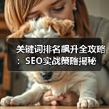 关键词排名提升全攻略：深度优化与实战技巧解析-辰飞雨云笔网策(图1)