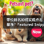 零位排名如何实现点击暴涨？Feature