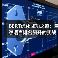 BERT优化实战：掌握排名突破的关键技巧-辰飞雨云笔网策 - 辰飞雨云笔网策