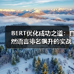 BERT优化实战：掌握排名突破的关键技巧-辰飞雨云笔网策(图2)