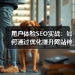 用户体验SEO实战：提升停留时间与参与度的必看案例-辰飞雨云 - 辰飞雨云笔网策